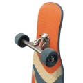 Longboard Switch Beaver