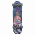 Longboard Cruiser Switch Quokka Collage