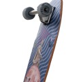 Longboard Cruiser Switch Quokka Collage