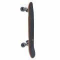 Longboard Cruiser Switch Quokka Sea