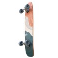 Longboard Cruiser Switch Capybara Bubbles