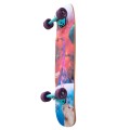 Longboard Cruiser Switch Capybara Collage