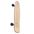 Longboard Cruiser Switch Capybara Collage