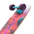 Longboard Cruiser Switch Capybara Collage