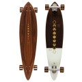 Longboard Arbor Solstice Fish