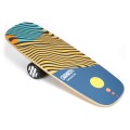 Switch Boards Balance Board SunWave88