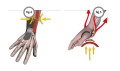 biomex