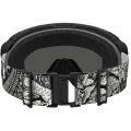 Dakine Domain Snow Goggles Kingdom Black