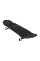 Globe G1 SOL MATES SUMMER SUN 8.0" Sketeboard