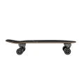 Carver Dine' Skate Garden 31" CX Surfskate