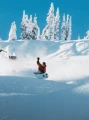 Snowboard Burton Family Tree Hometown Hero Xray