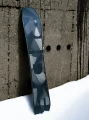 Snowboard Ride Warpig