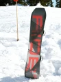Snowboard Ride Twinpig