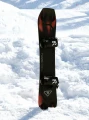 Snowboard Ride Twinpig