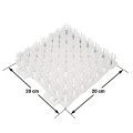 Igielit snowboardowy Switch boards Snowgird