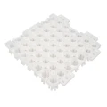 Switch boards Snowgird training mat