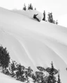 Lib Tech T.Rice Orca II Snowboard 2027